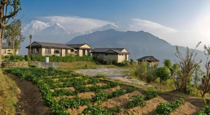 Hananoie - A Permaculture Resort Pokhara Ngoại thất bức ảnh