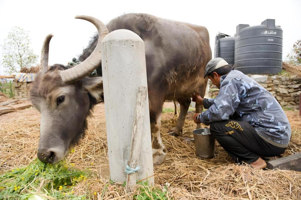 Hananoie - A Permaculture Resort Pokhara Ngoại thất bức ảnh