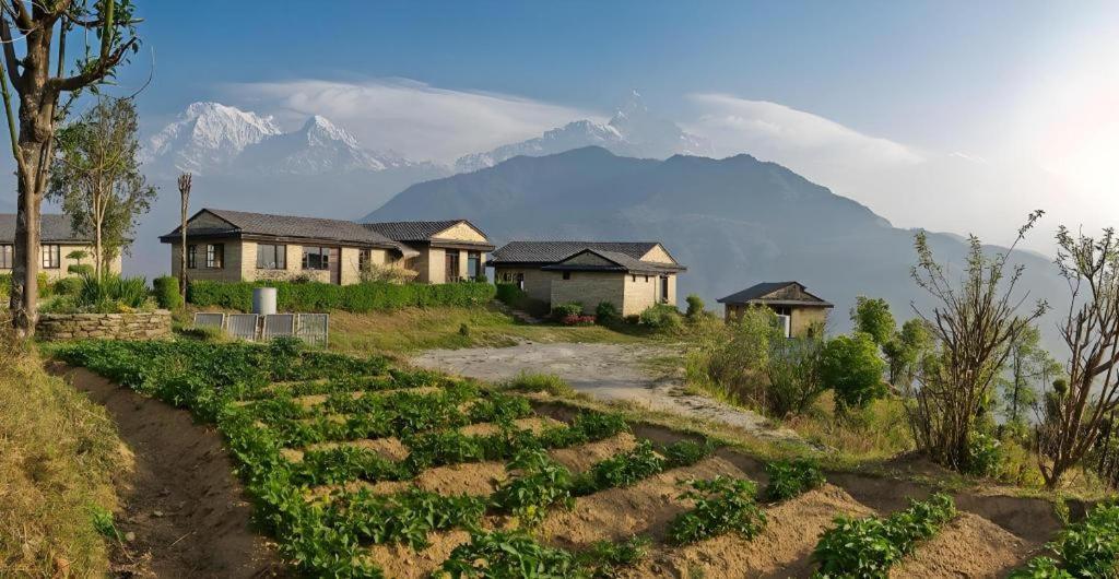 Hananoie - A Permaculture Resort Pokhara Ngoại thất bức ảnh